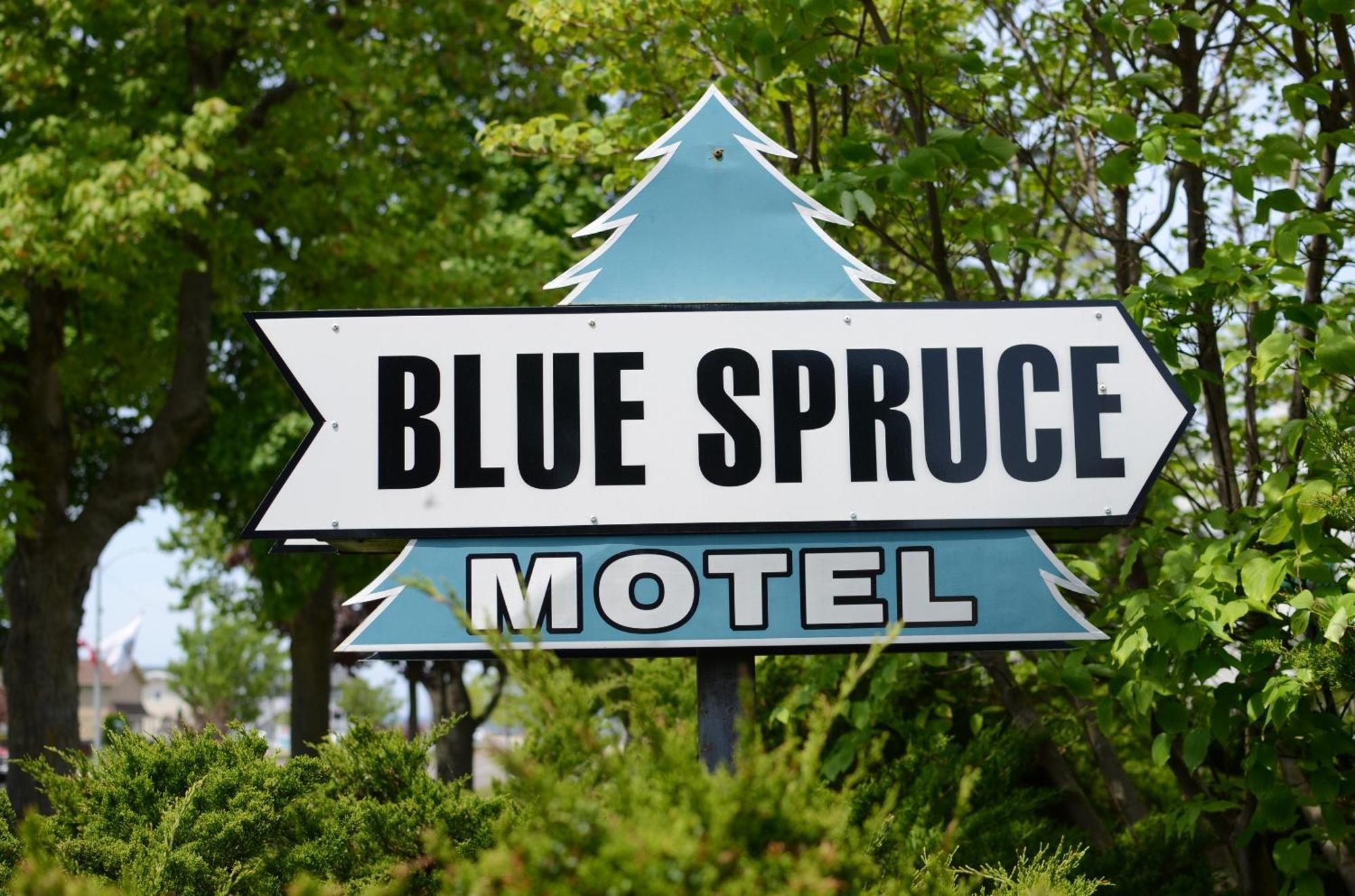 Ludington Blue Spruce Inn Kültér fotó